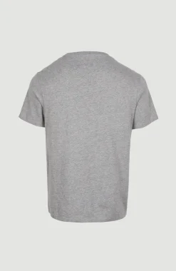 Sale O’Neill State Emblem T-shirt | Silver Melee