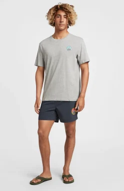 Sale O’Neill State Emblem T-shirt | Silver Melee
