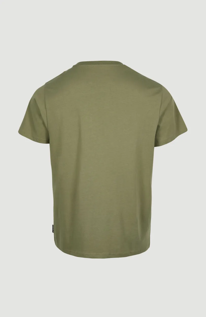 Online O’Neill Stream T-shirt | Deep Lichen Green