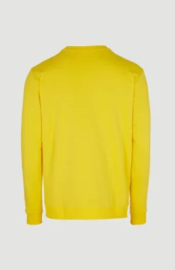 New O’Neill Sweater Cali Original Crew | Dandelion