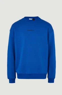 Sale O’Neill Sweater Future Surf Society | Surf the web Blue