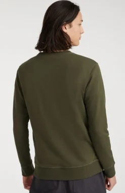 Best O’Neill Sweater O'Neill Small Logo | Forest Night
