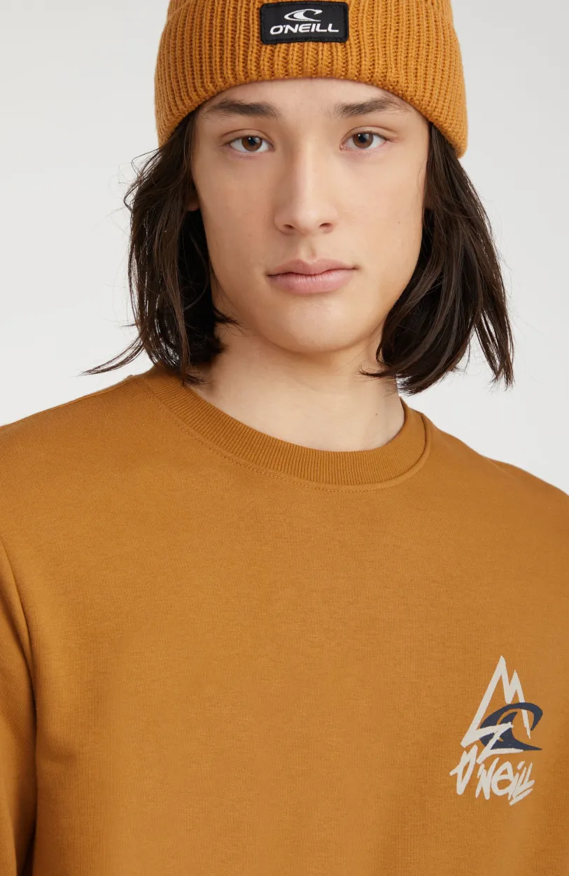 Outlet O’Neill Sweater Torrey Crew | Rich Caramel