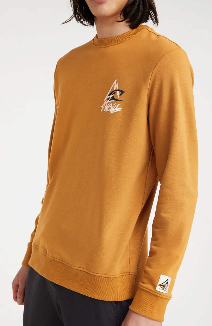 Outlet O’Neill Sweater Torrey Crew | Rich Caramel