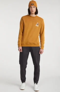 Outlet O’Neill Sweater Torrey Crew | Rich Caramel