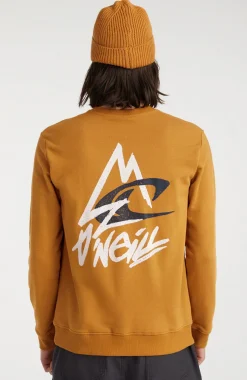 Outlet O’Neill Sweater Torrey Crew | Rich Caramel