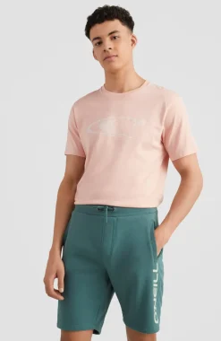Discount O’Neill Sweatshort O'Neill Logo | Sea Pine