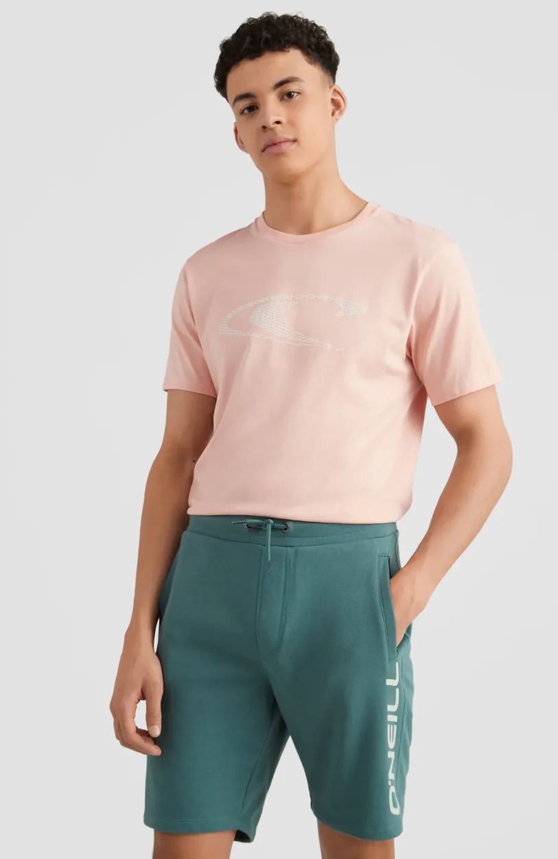 Discount O’Neill Sweatshort O'Neill Logo | Sea Pine