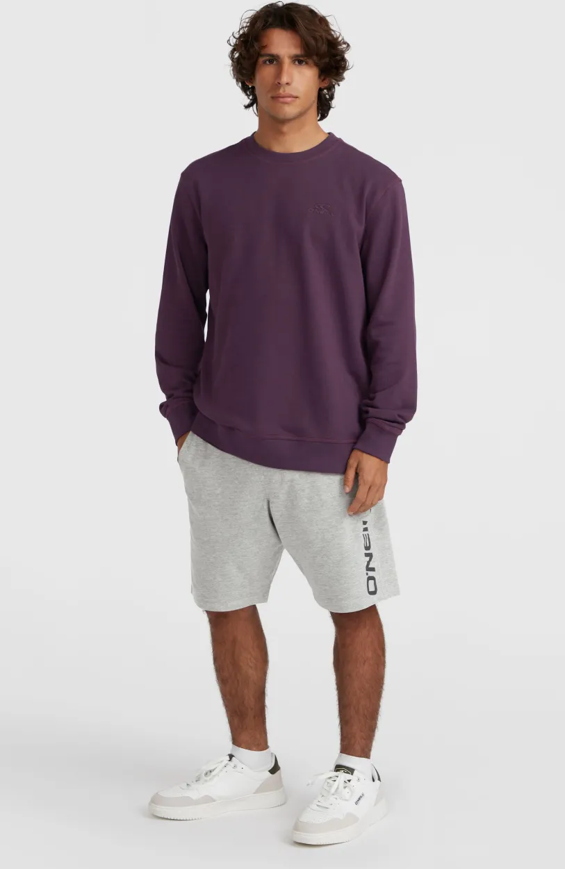 Discount O’Neill Sweatshort O'Neill Logo | Silver Melee -A