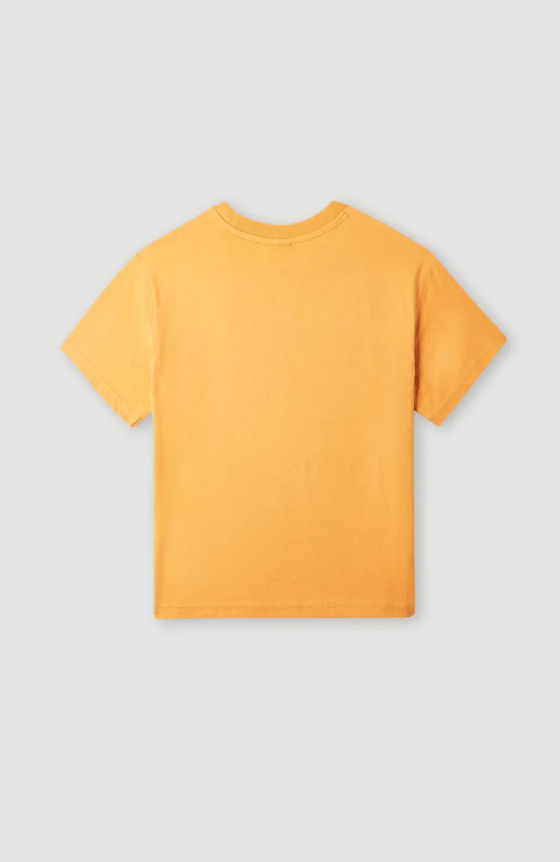 Outlet O’Neill T-shirt Addy Graphic | Nugget