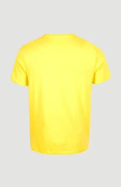 New O’Neill T-shirt Cali Original | Dandelion