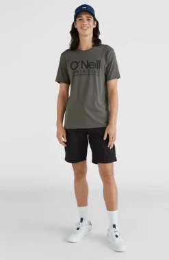 Online O’Neill T-shirt Cali Original | Military Green