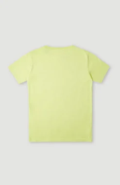 Clearance O’Neill T-shirt Checker | Sunny Lime