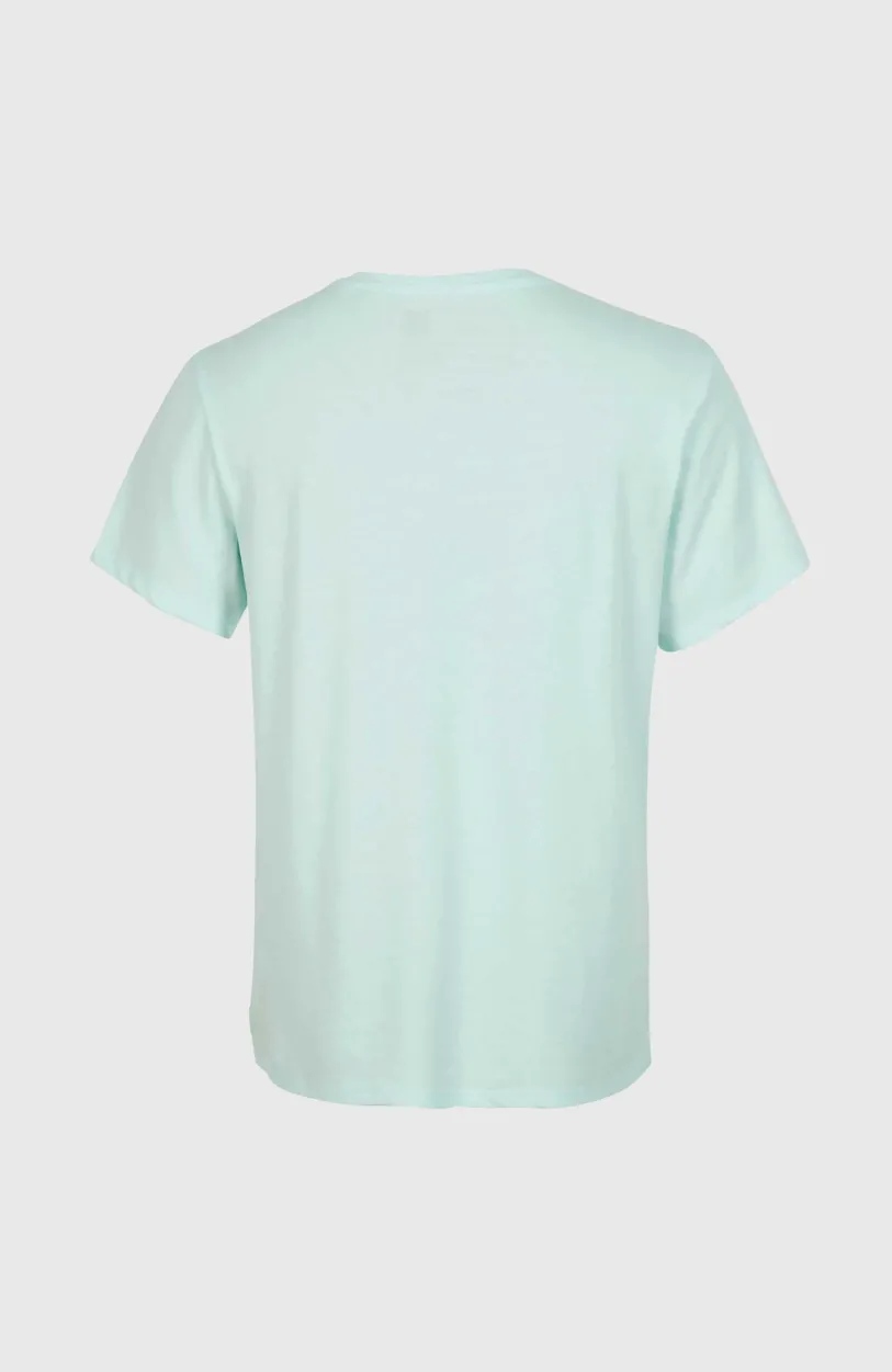 Best O’Neill T-shirt Essentials Met V-hals | Soothing Sea