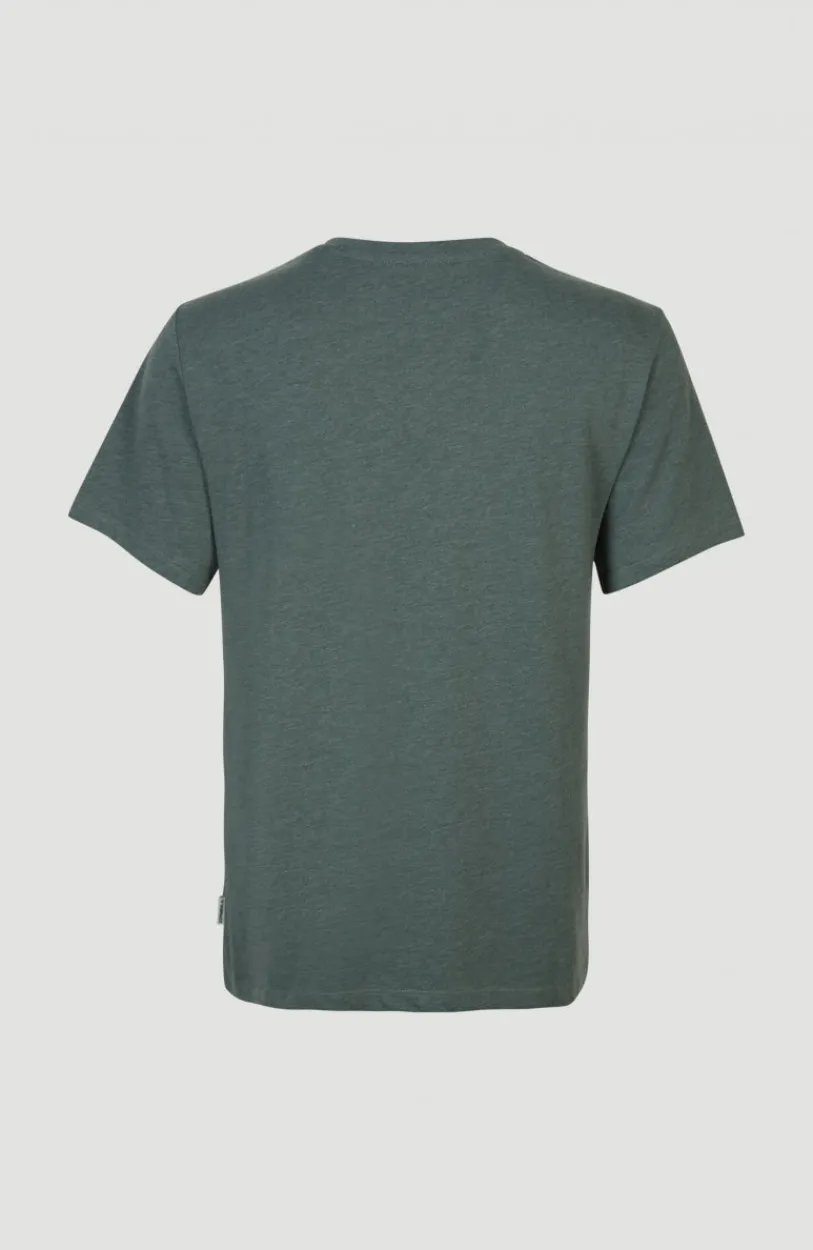 Clearance O’Neill T-shirt Essentials Met V-hals | Balsam Green