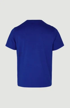Hot O’Neill T-shirt Future Surf Society | Surf the web Blue
