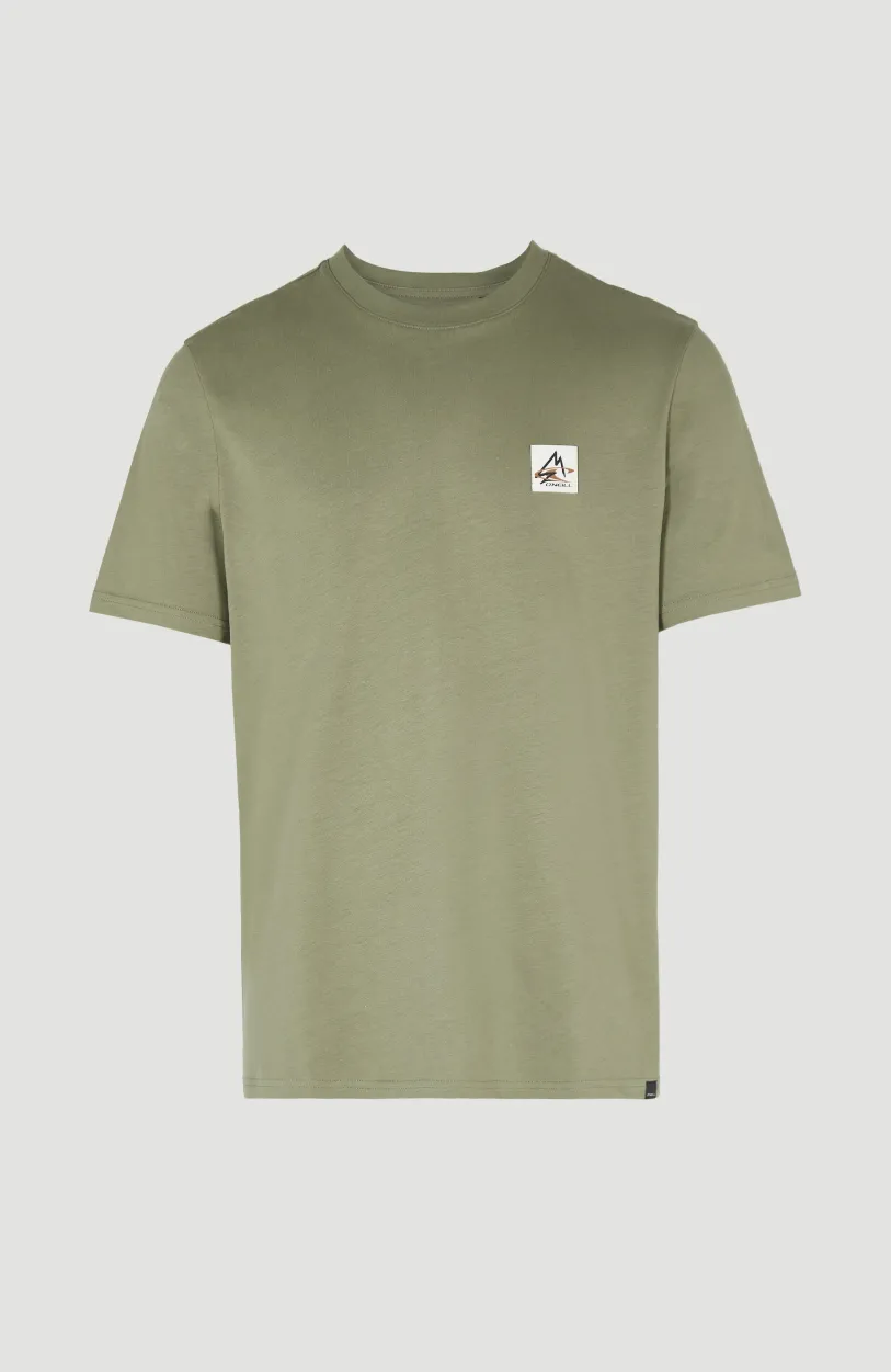 Discount O’Neill T-shirt Hollyridge | Deep Lichen Green