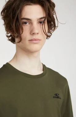 Online O’Neill T-shirt O'Neill Small Logo | Forest Night