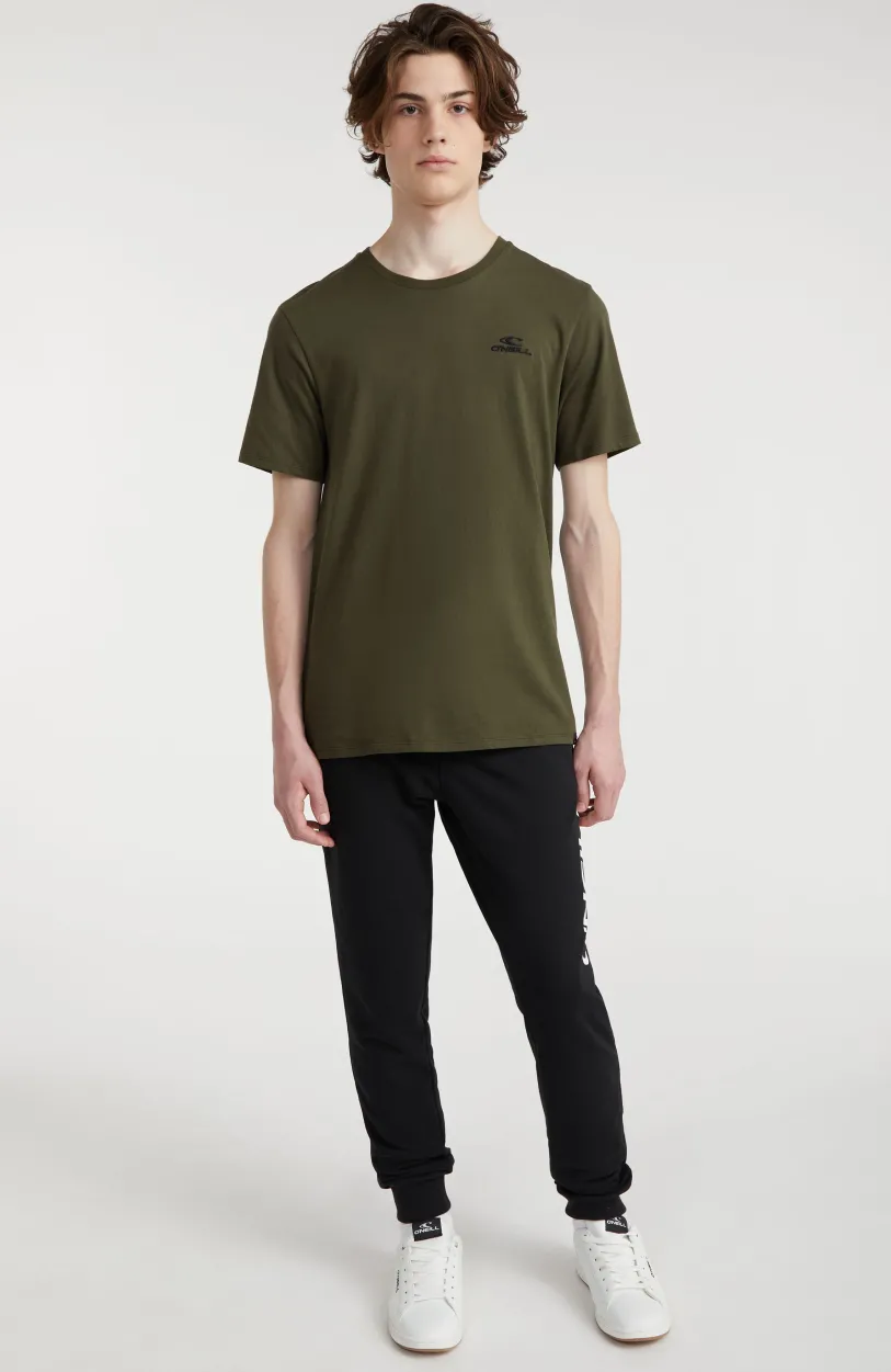 Online O’Neill T-shirt O'Neill Small Logo | Forest Night