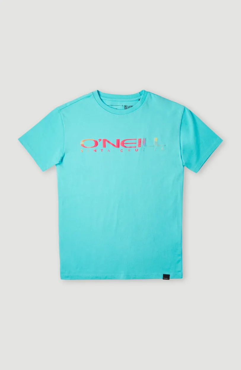 Best O’Neill T-shirt Sanborn | Bachelor Button