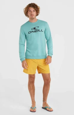 Online O’Neill Vert 16'' Zwembroek | Golden Haze
