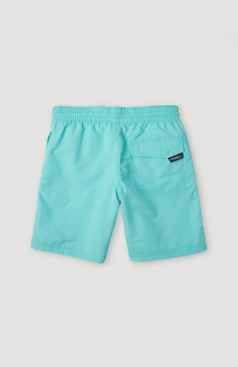 Sale O’Neill Zwemshort Vert 14 | Aqua Spalsh
