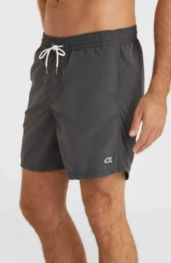 Sale O’Neill Zwemshort Vert 16'' | Asphalt