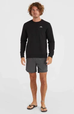 Sale O’Neill Zwemshort Vert 16'' | Asphalt