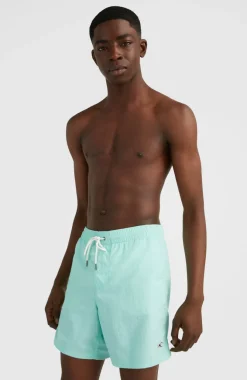 Online O’Neill Zwemshort Vert 16'' | Beach Glass