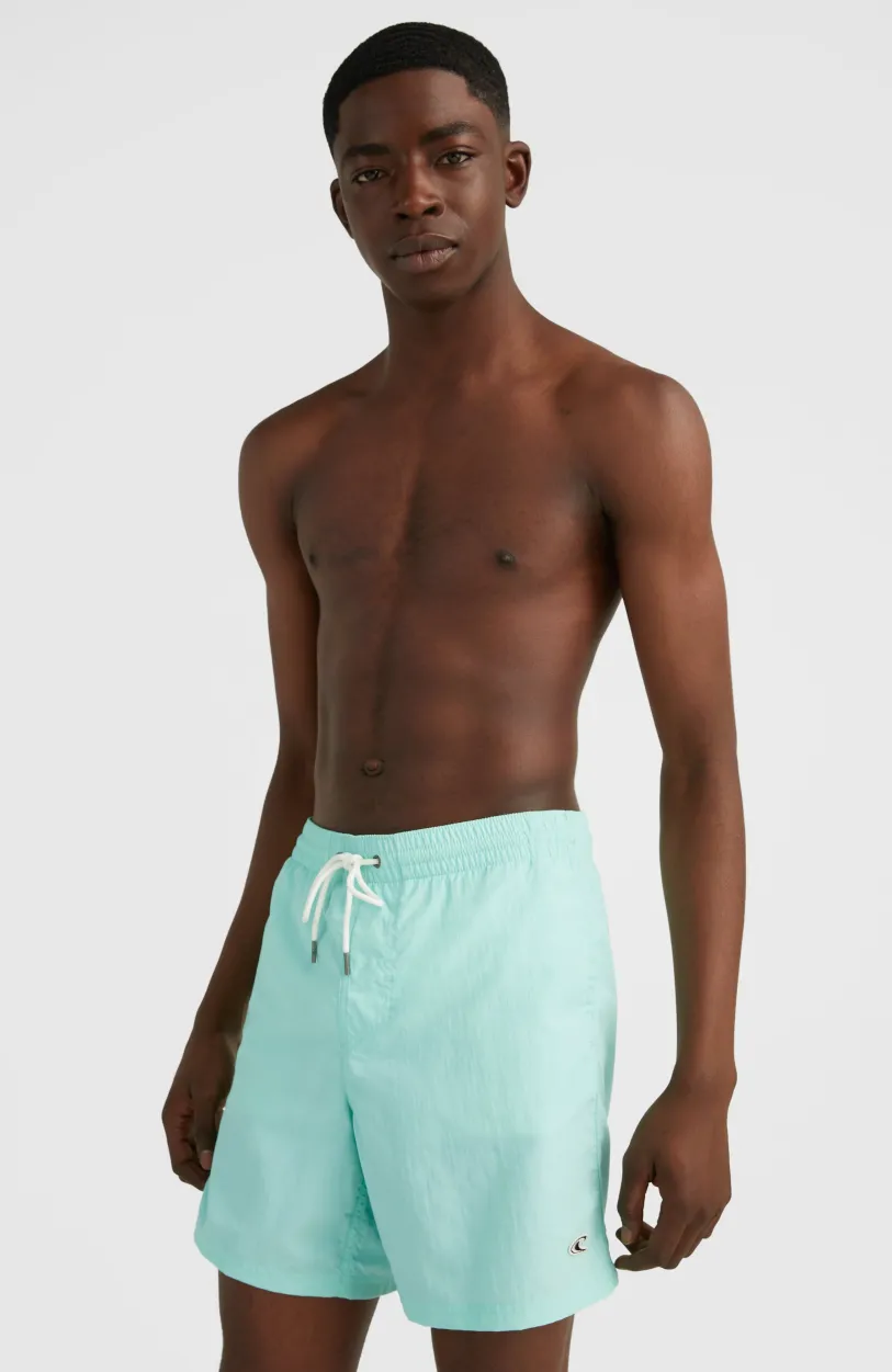 Online O’Neill Zwemshort Vert 16'' | Beach Glass