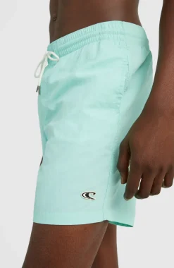 Online O’Neill Zwemshort Vert 16'' | Beach Glass