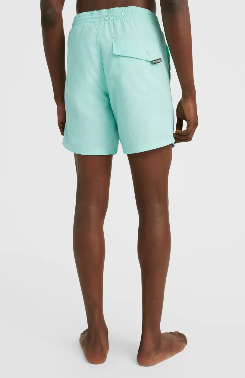 Online O’Neill Zwemshort Vert 16'' | Beach Glass