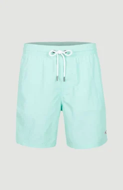 Online O’Neill Zwemshort Vert 16'' | Beach Glass