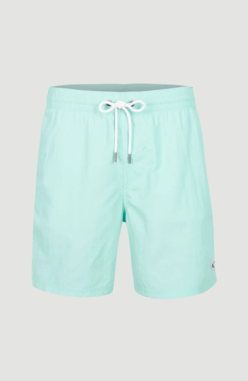Online O’Neill Zwemshort Vert 16'' | Beach Glass