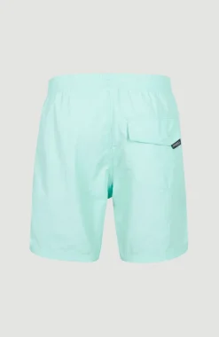 Online O’Neill Zwemshort Vert 16'' | Beach Glass
