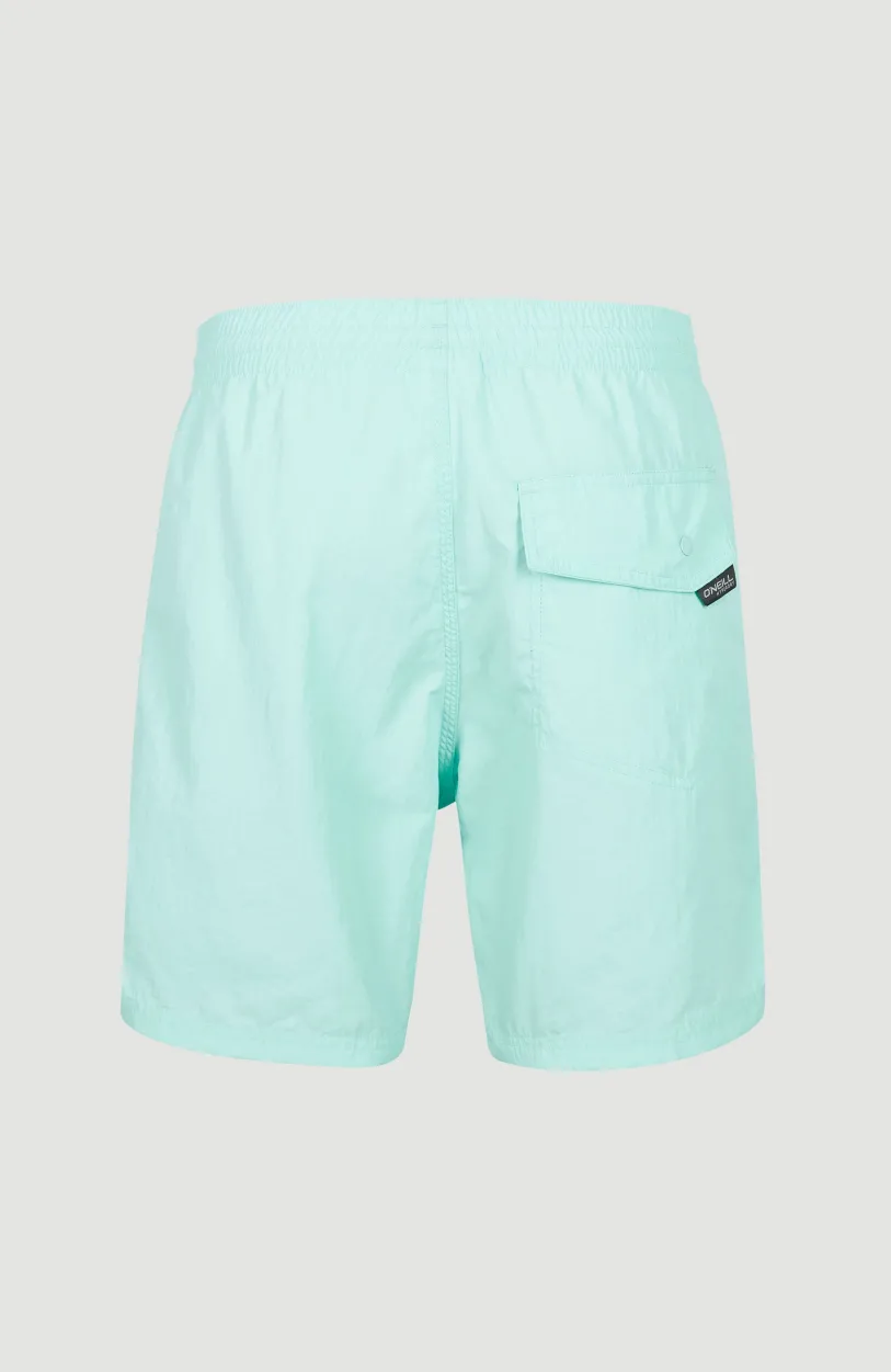 Online O’Neill Zwemshort Vert 16'' | Beach Glass