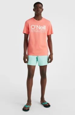 Online O’Neill Zwemshort Vert 16'' | Beach Glass