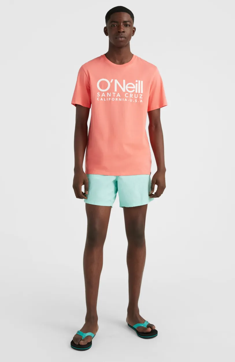 Online O’Neill Zwemshort Vert 16'' | Beach Glass