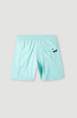 Sale O’Neill Zwemshort Vert 14 | Beach Glass