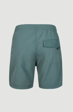 Best O’Neill Zwemshort Vert 16'' | North Atlantic