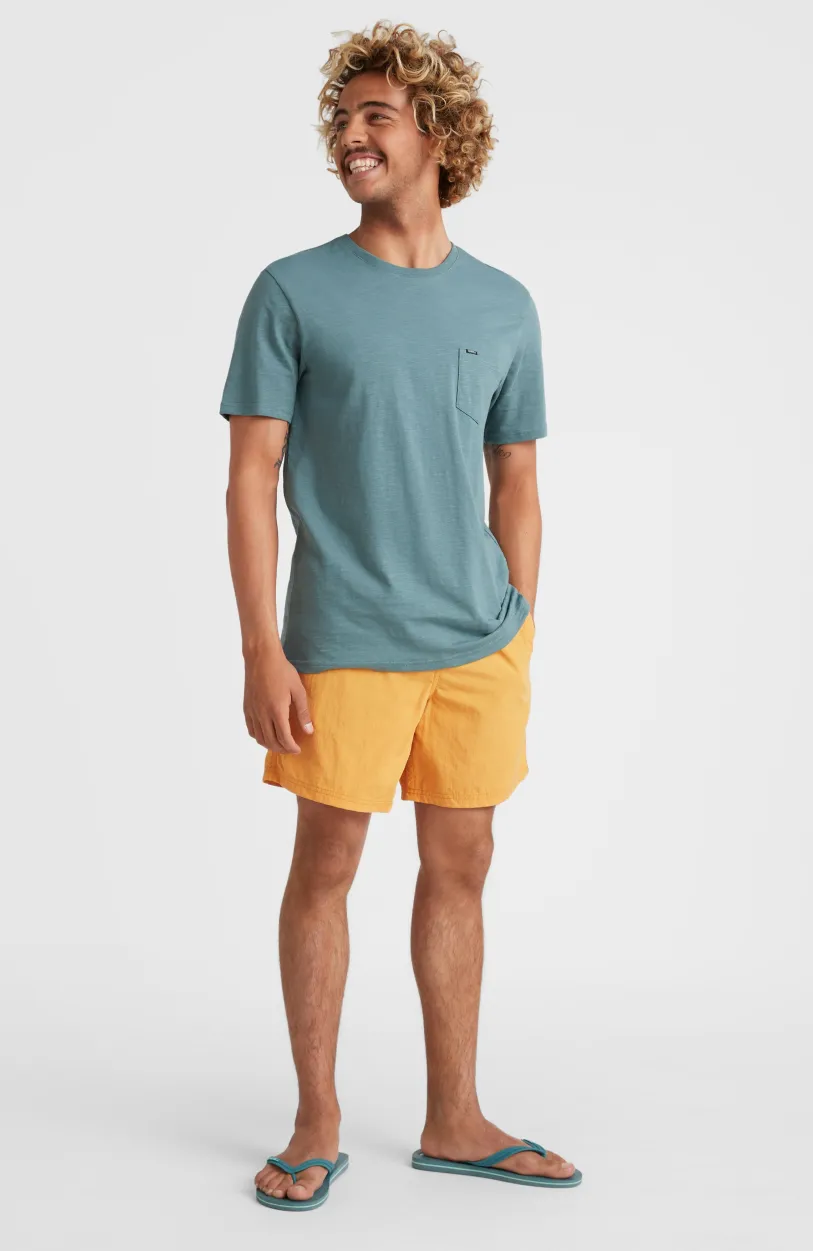New O’Neill Zwemshort Vert 16'' | Nugget