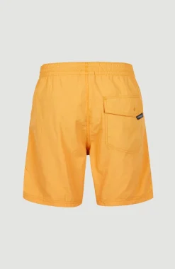 New O’Neill Zwemshort Vert 16'' | Nugget