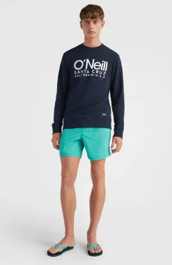 O’Neill Zwemshort Vert 16'' | Sea Green
