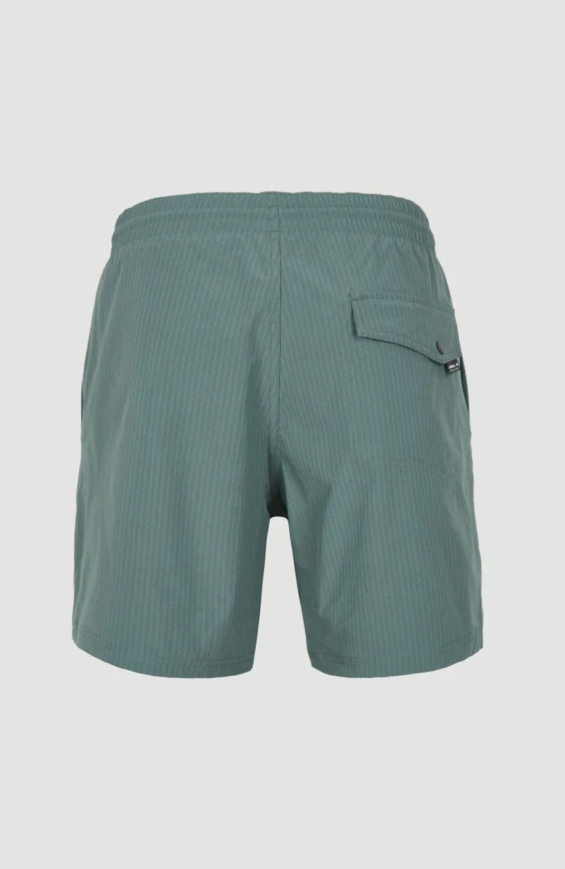 New O’Neill Zwemshort Vert Camorro 16'' | North Atlantic