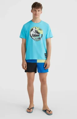 Discount O’Neill Zwemshort Wilder Colourblock 16'' | Princess Blue Colour Block